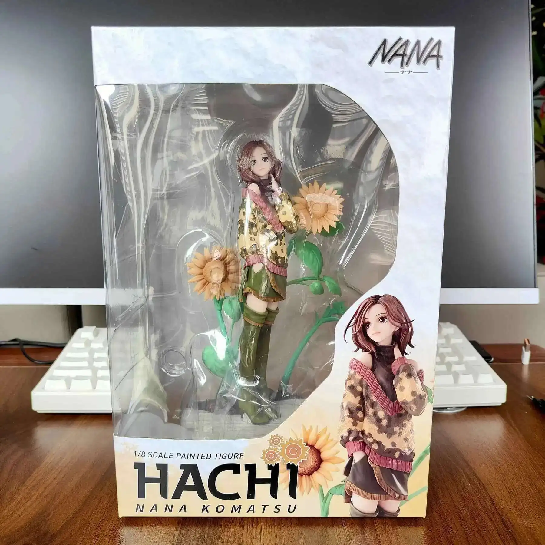 hacai-with-box